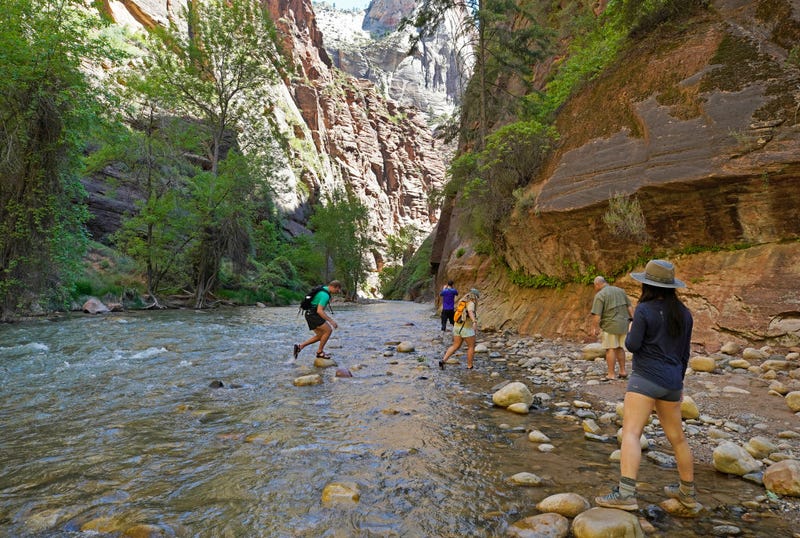 Hikers in nature