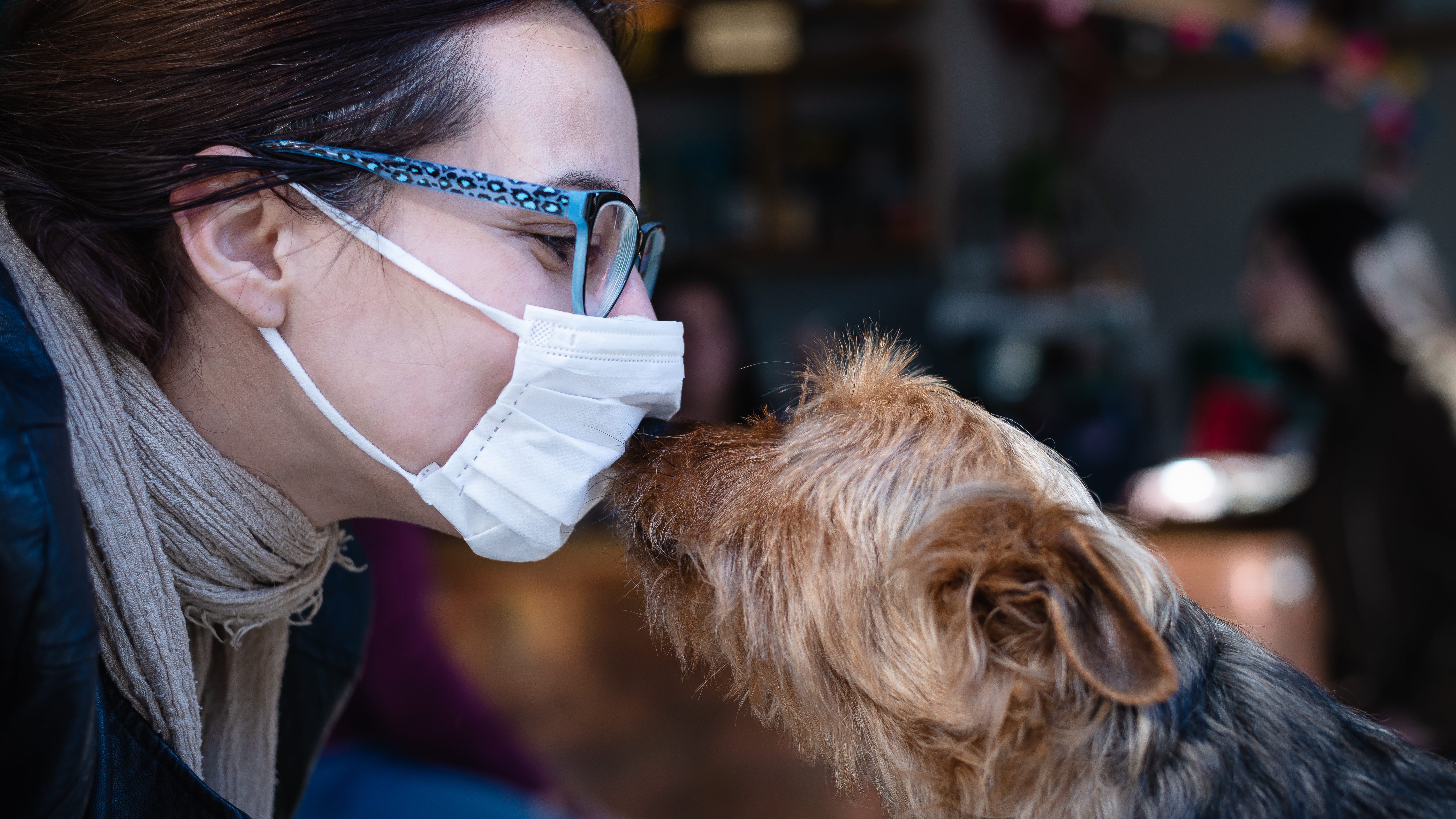 Coronavirus-inspired pet names gaining popularity, survey finds