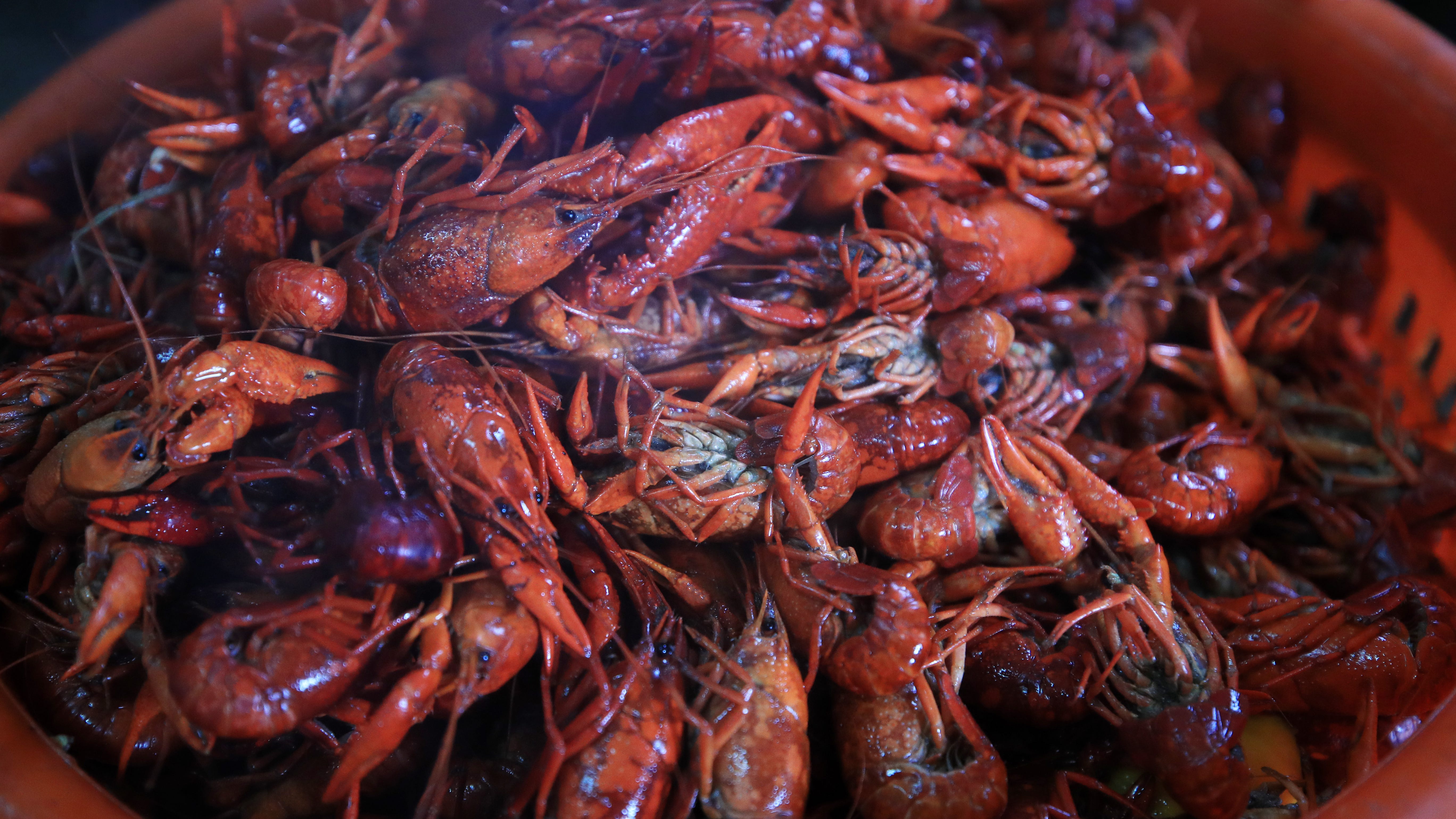 Local seafood festival offers an alternative to big weekend events
