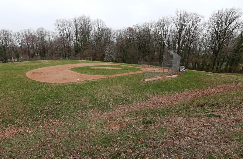 Little league baseball field stock photo