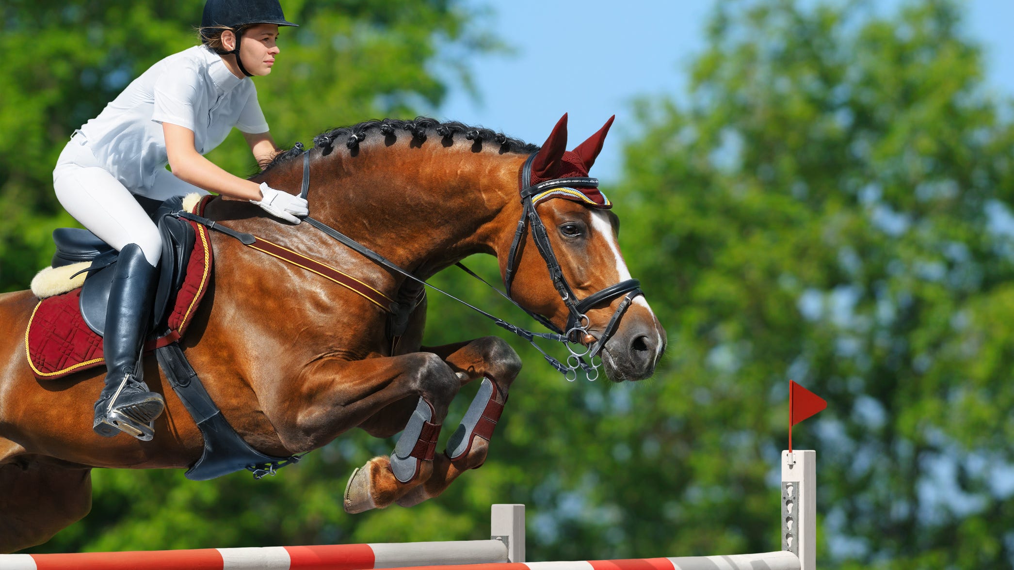 Dickies Arena to host April 2026 Longines FEI Jumping World Cup Final, FEI Dressage World Cup Final