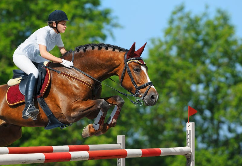 Horse jumping