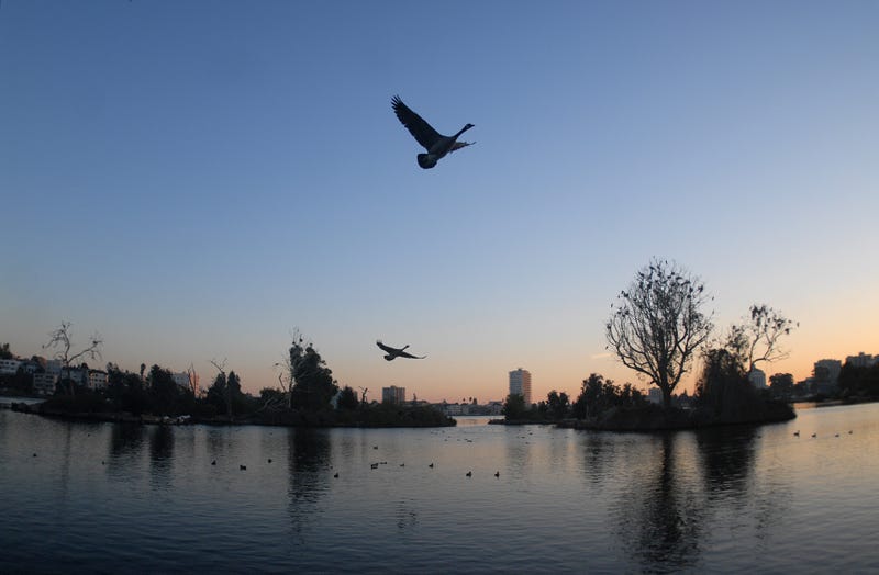 People have been warned not to come into contact with the water at the lake.