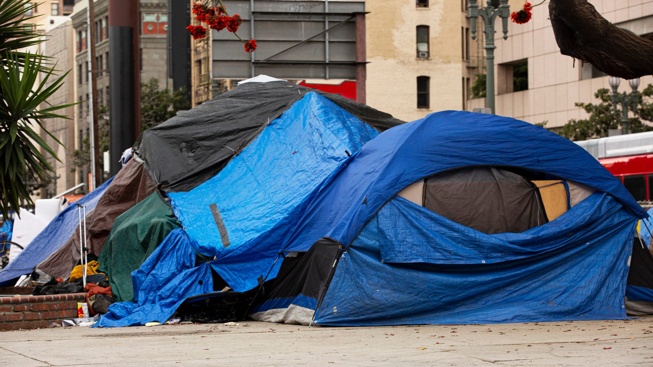Homeless Services Authority to Release 2023 Homeless Count Data