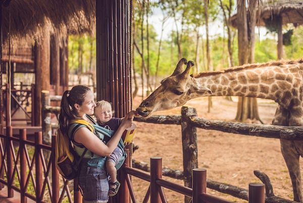 Mother and child feeding a giraffe at a zoo