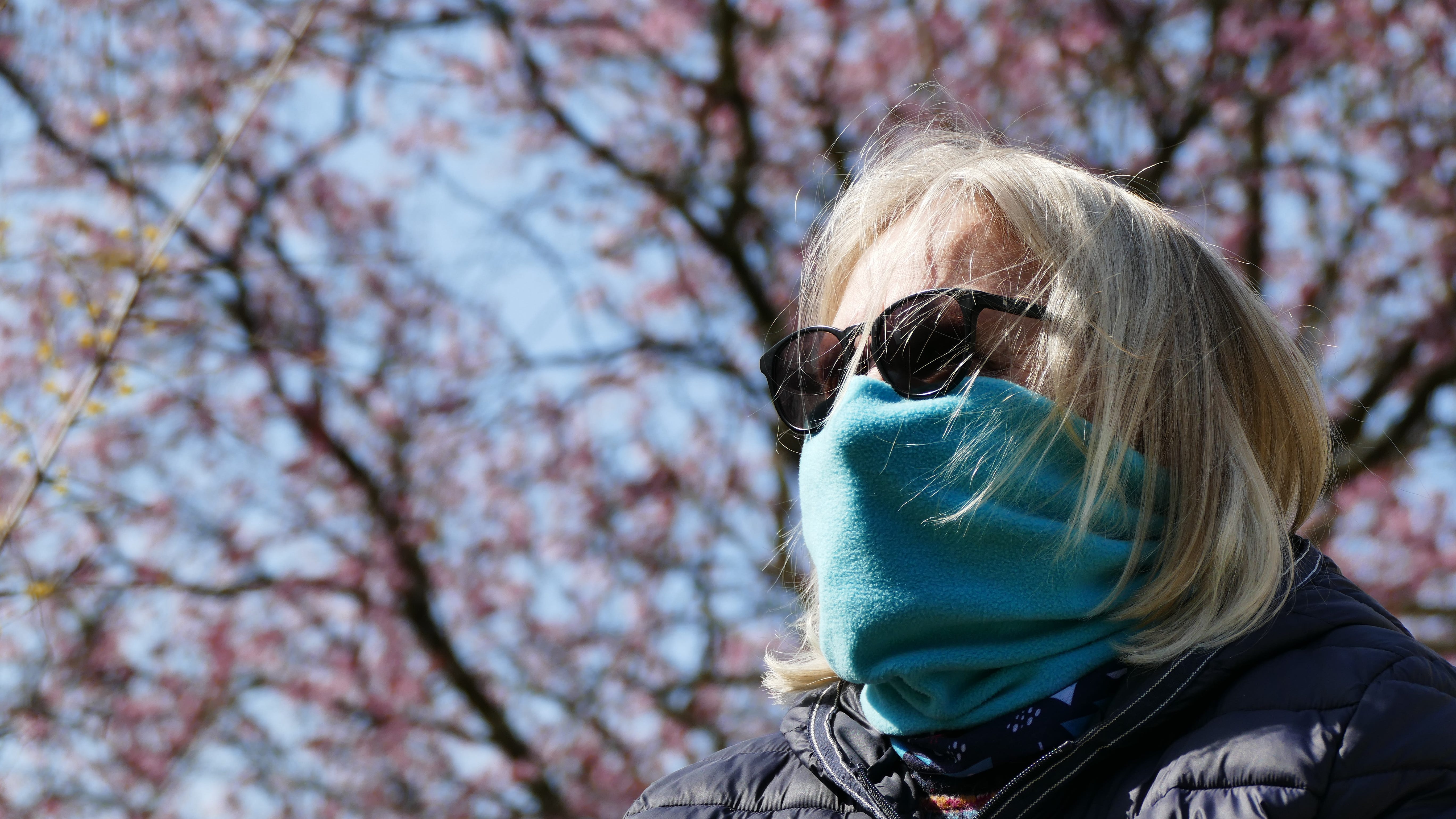 Study: Higher pollen counts could increase COVID-19 infection rates