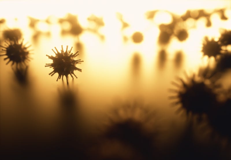 A Metro Detroit school was forced to cancel classes for the rest of the week after numerous students and staff fell ill with a highly contagious stomach virus.