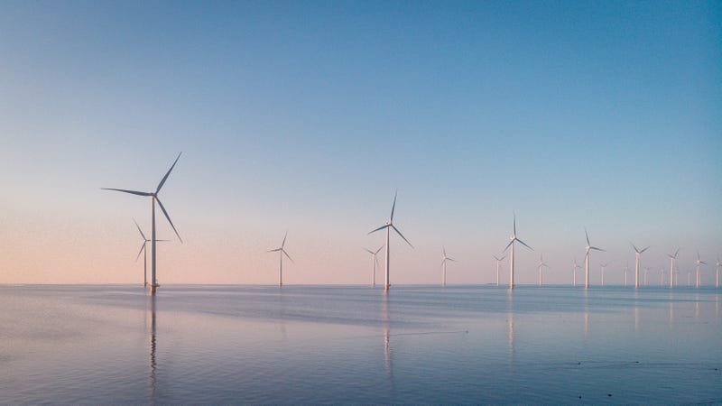 An offshore wind farm.