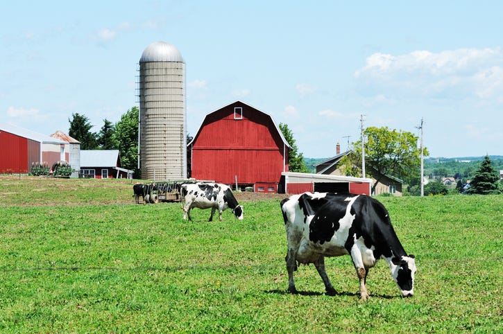 farm