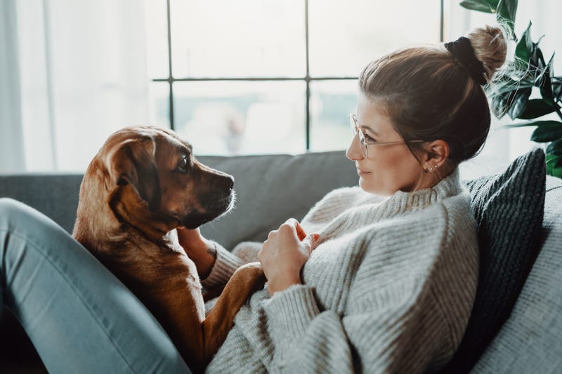 While it's commonly thought that close companionship with a pet positively influences our well-being, a new study by Michigan State University said that during the COVID-19 pandemic, that wasn't the case.