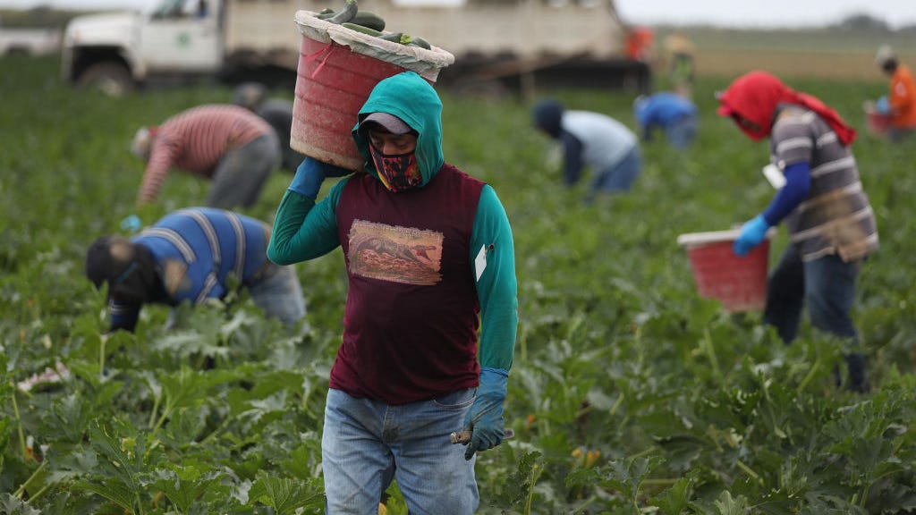 Mas riesgo de morir en el trabajo para los latinos: Reporte