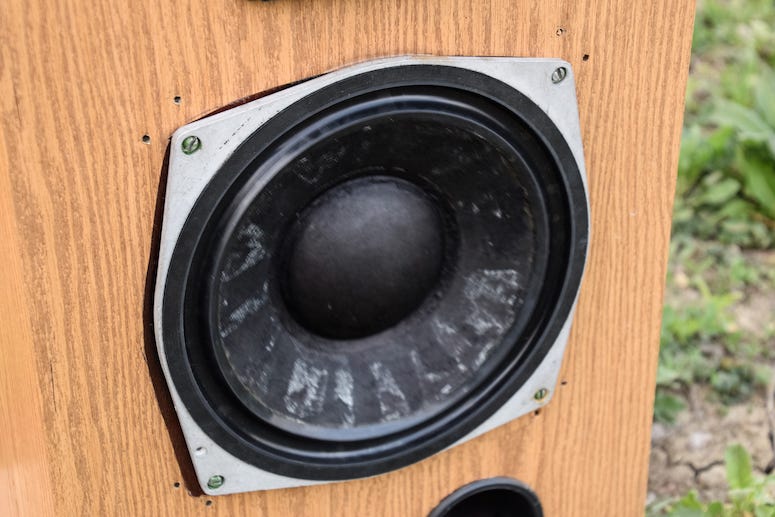 Speaker, Backyard