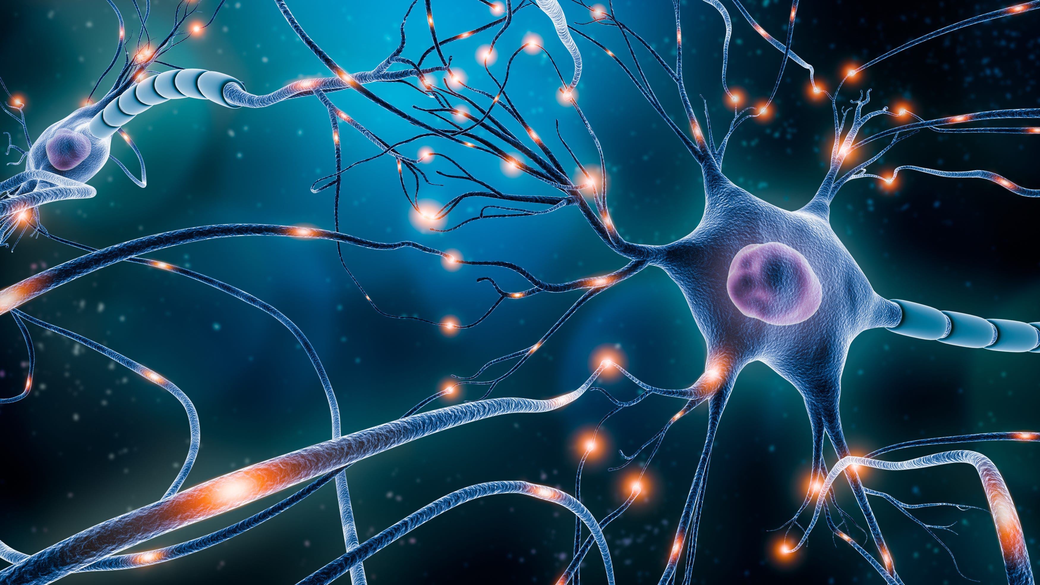 New center at USC to develop implantable devices for nervous system