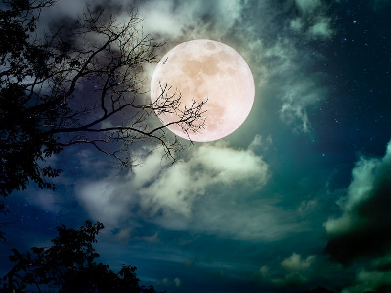 A full moon in the sky.
