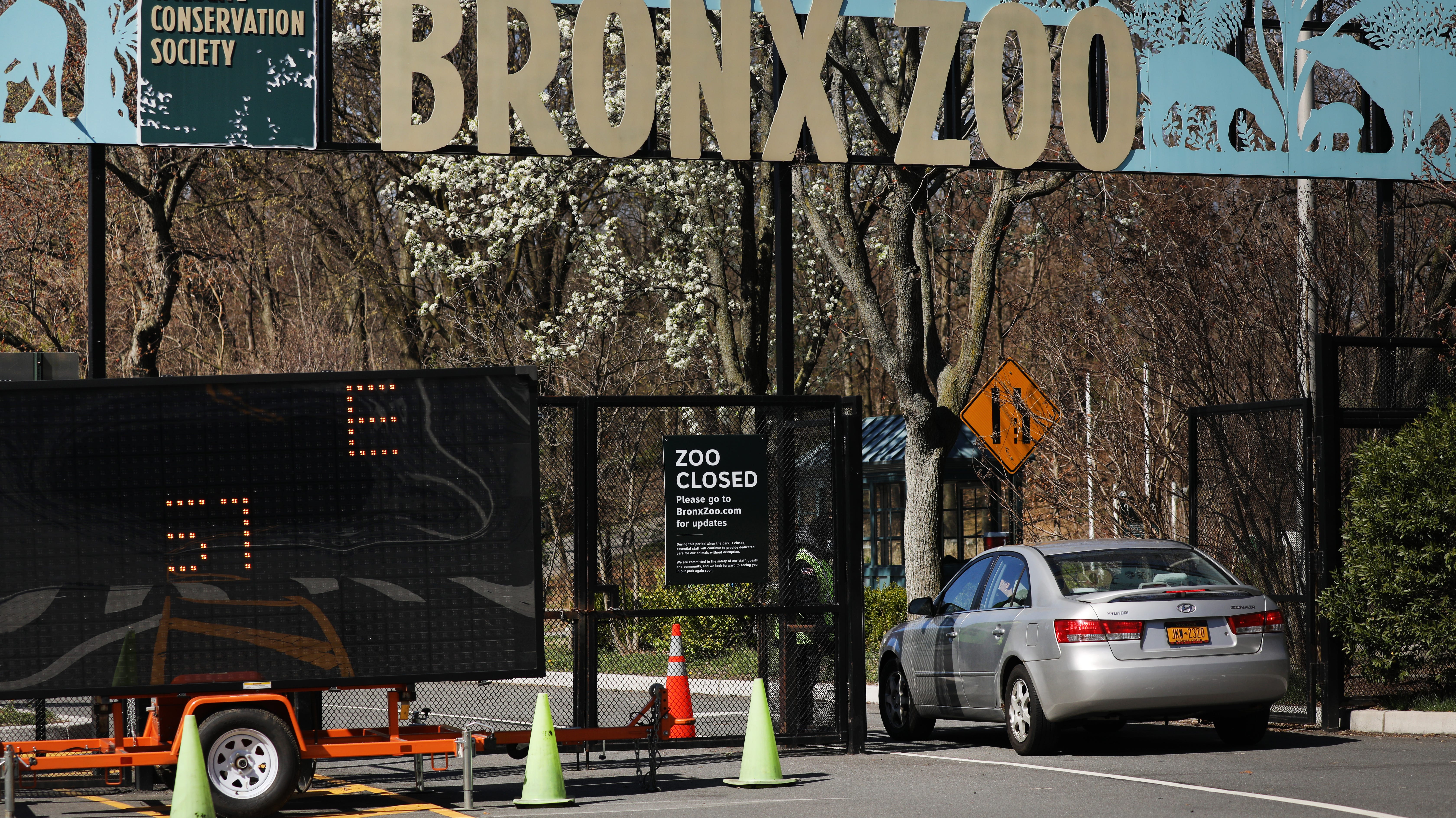 Woman, 55, severely injured in shooting outside Bronx Zoo