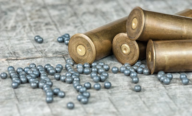 Lead Ammunition