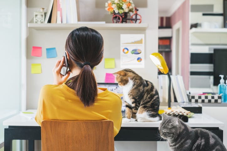 working from home
