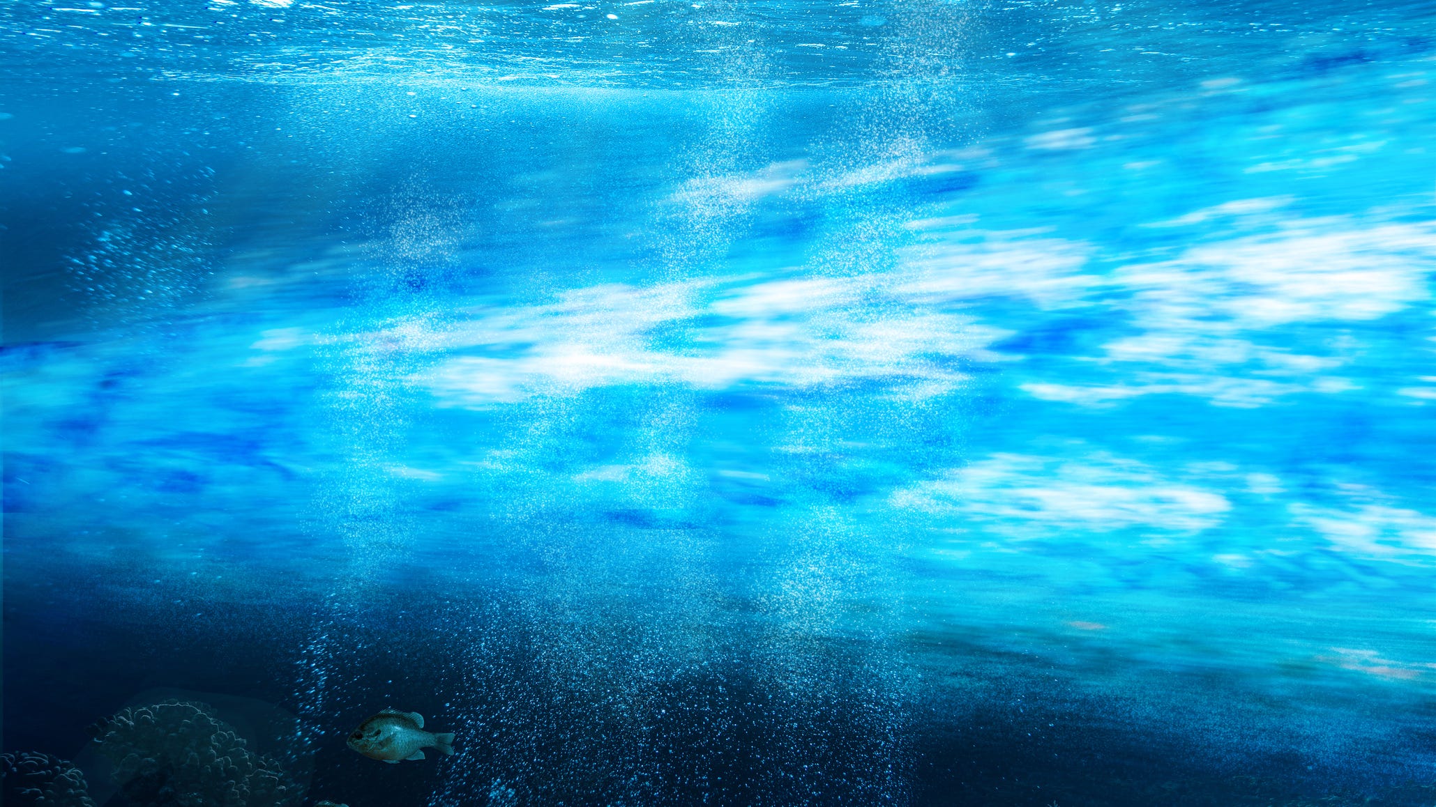 Gulf Stream could collapse in 2025, bringing catastrophe