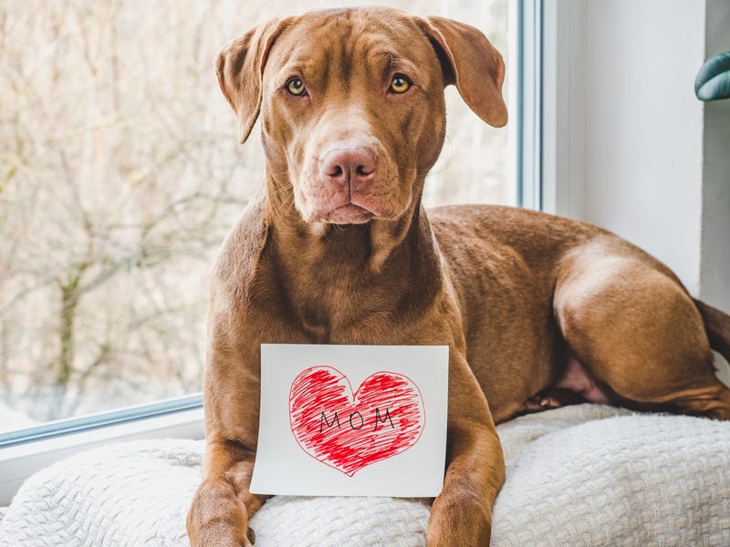 A Mother’s Day Card to Your Daughter/Sister/Friend