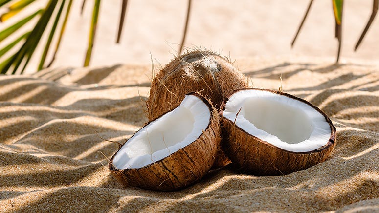 Castaways survived on coconuts for 33 days before U.S. Coast Guard rescue