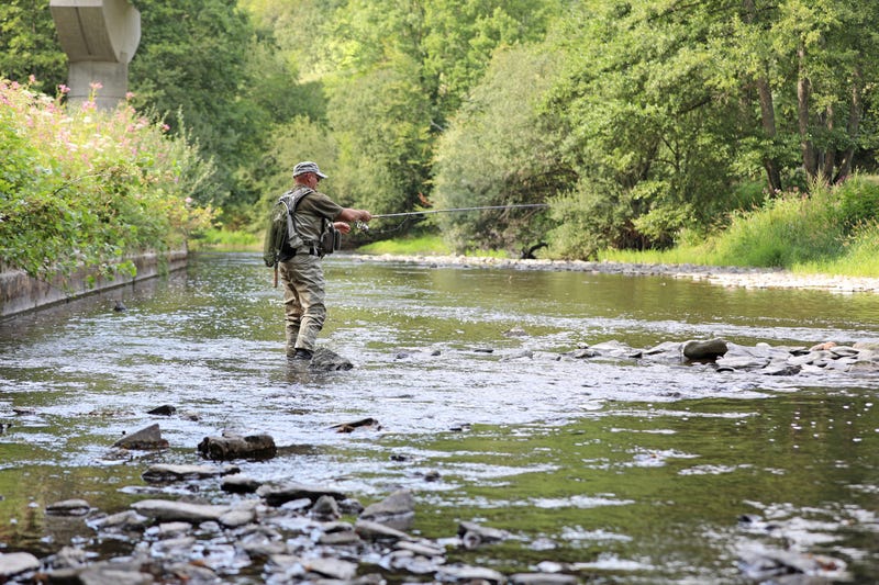 Trout fishing in a shallow river