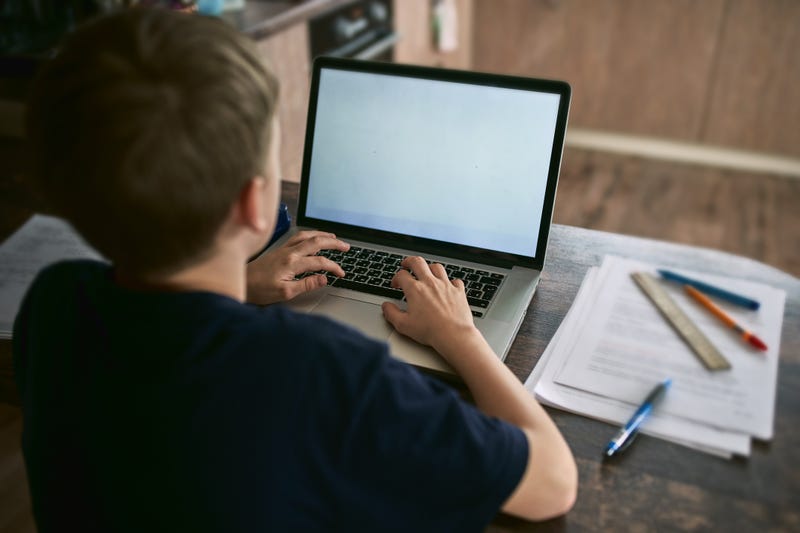 Young student learning from home