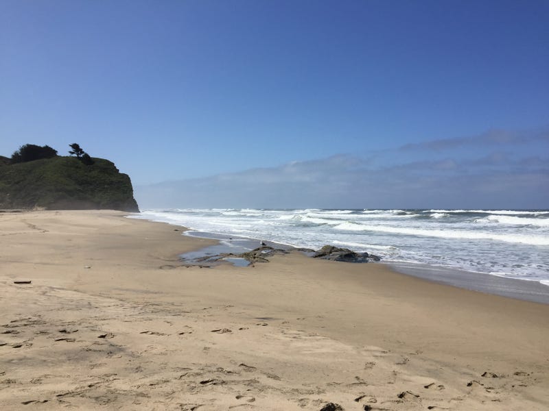 A Fourth of July visitor to Pescadero State Beach discovered a dead body wash ashore, and an investigation is underway to determine just what happened.