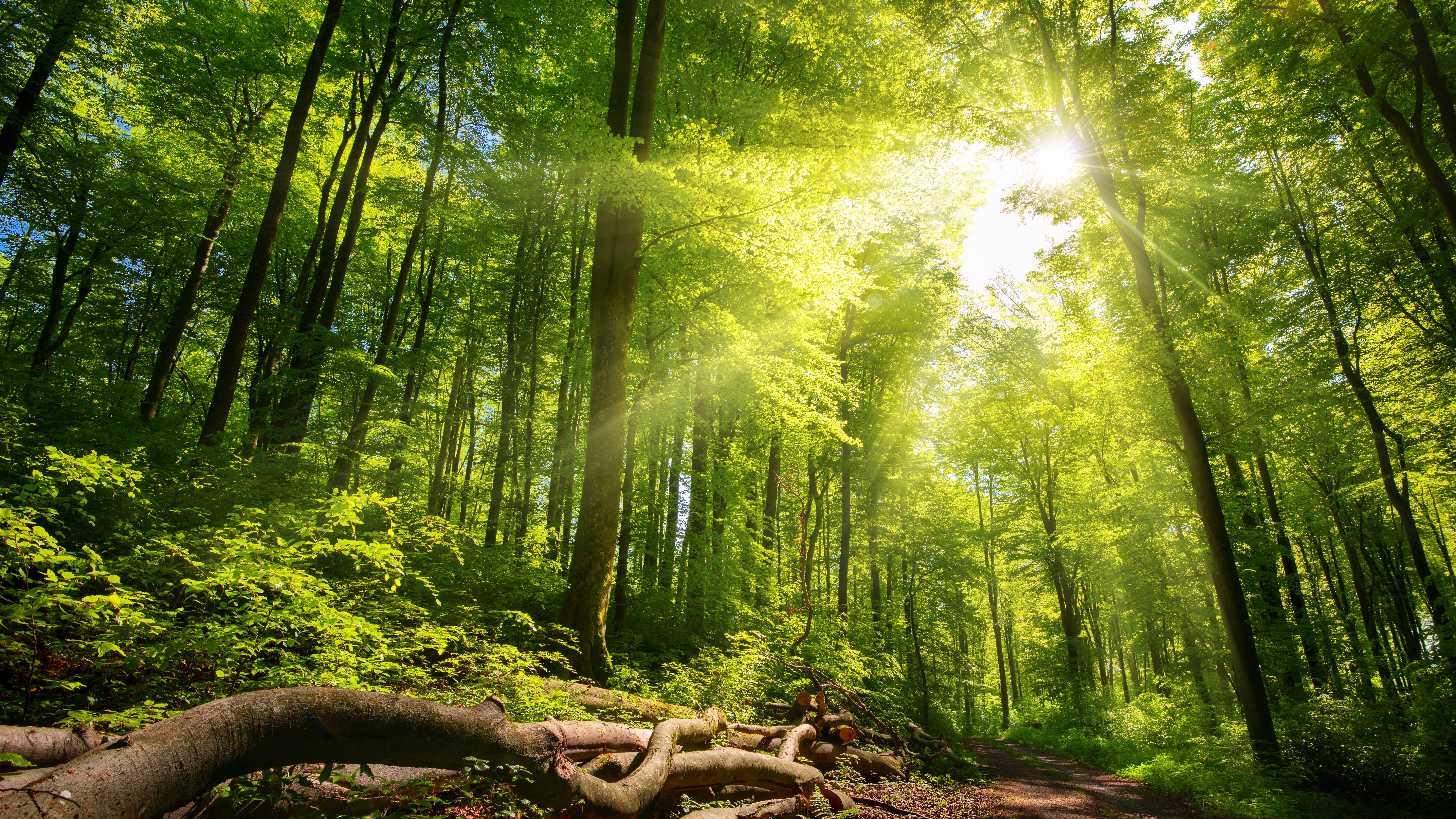 Lake County Forest Preserves hope to turn to taxpayers for future growth