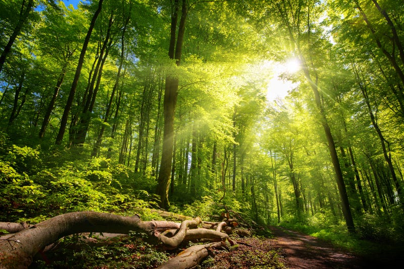 Lake County Forest Preserves hope to turn to taxpayers for future growth