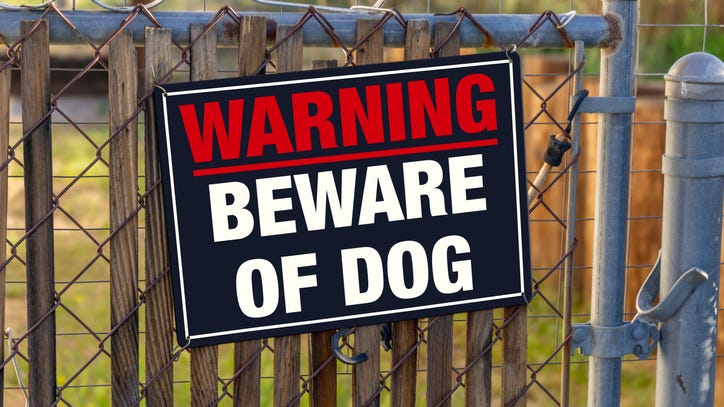 Man seriously injured, attacked by 4 dogs in Detroit