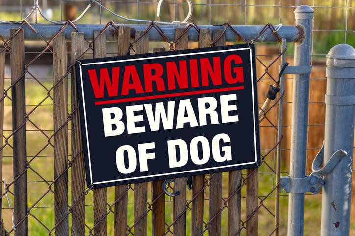 Detroit dog attack