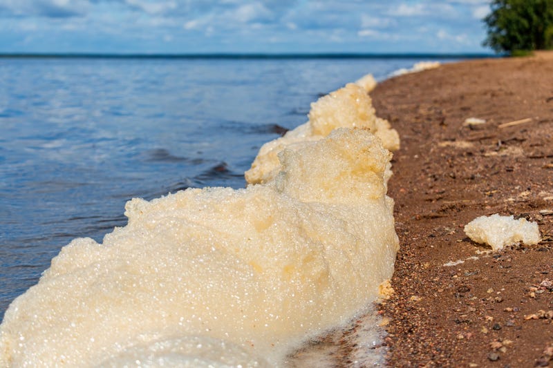 dirty yellow toxic foam on the lake due to water pollution or waste flowing or just peat