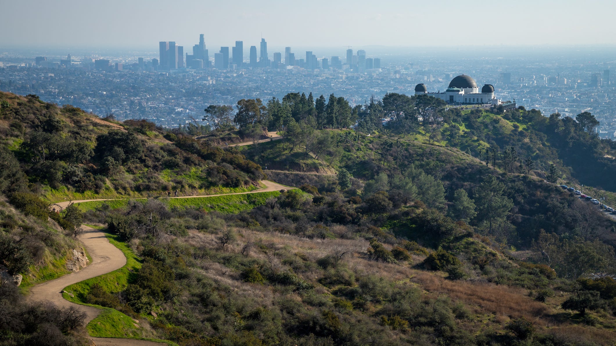 Hiker rescued by helicopter from Mount Hollywood