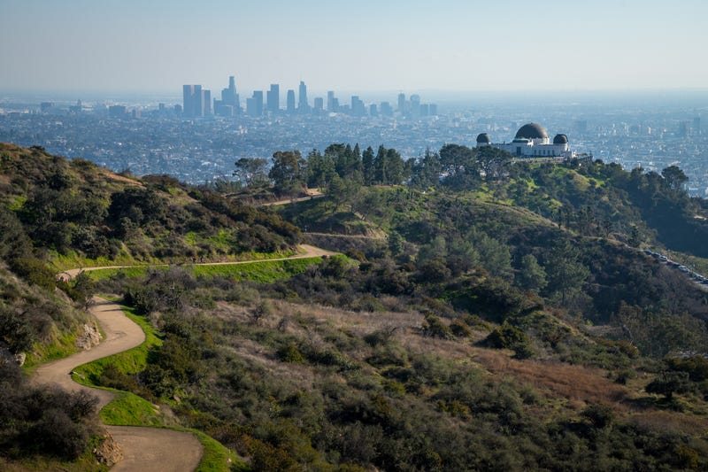 iStock/Getty Images