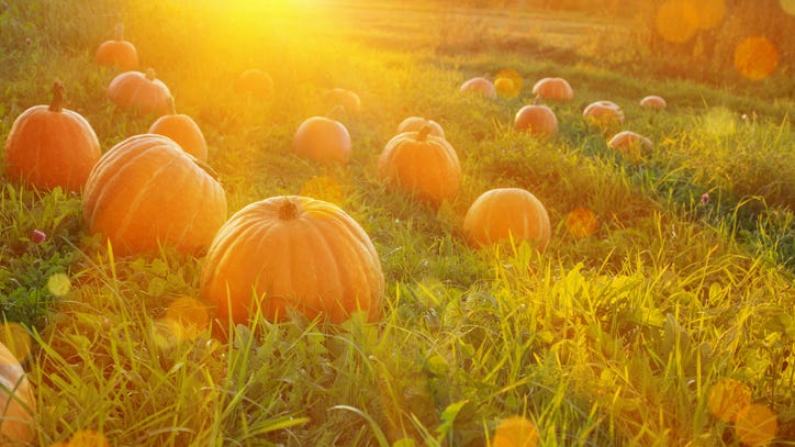 Things To Do Around DFW: September 23-26