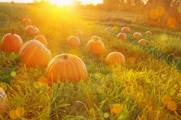 Things to do around North Texas: September 23-26