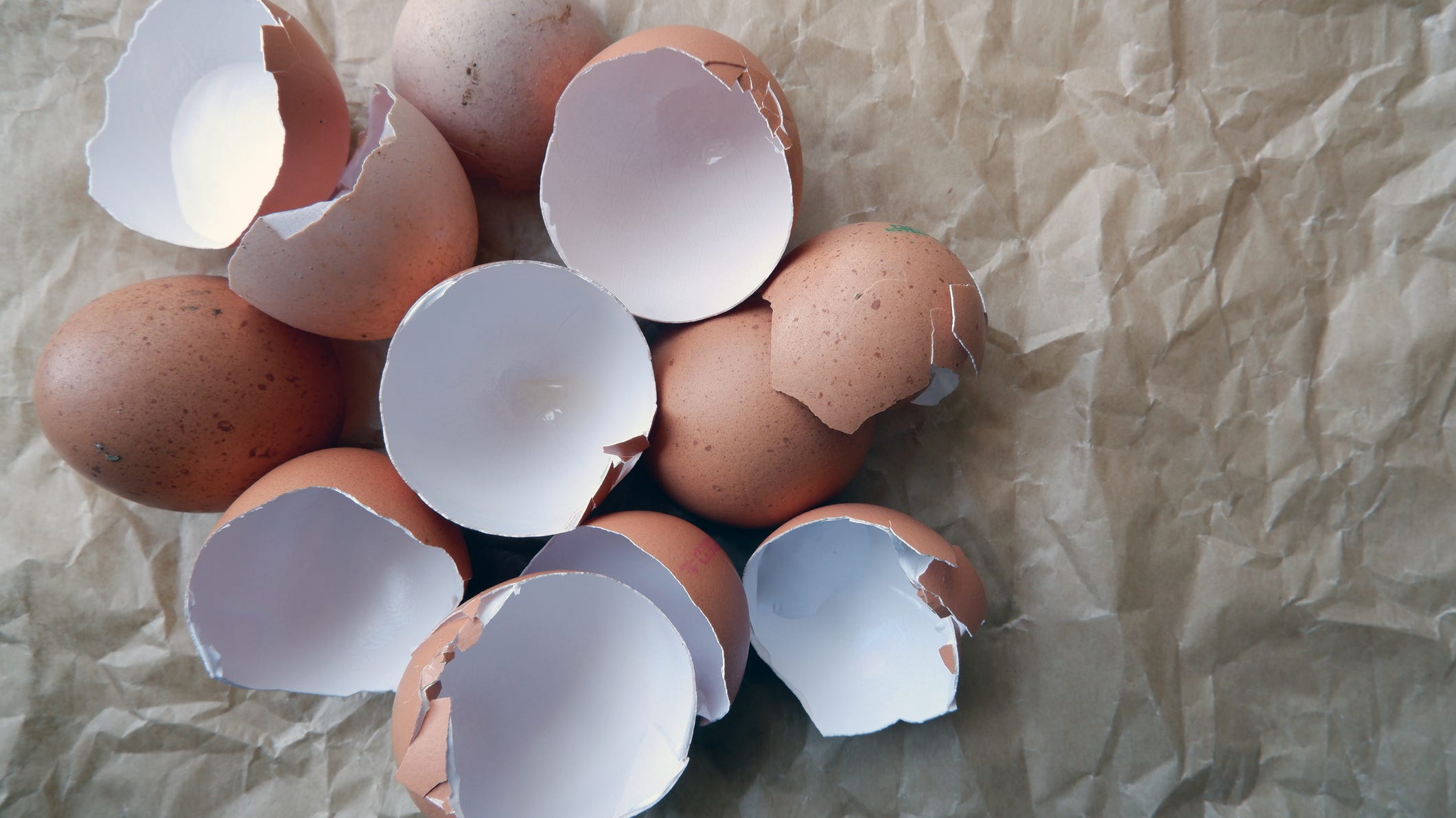 Dana & Parks: An eggshell debate – what do you do with them?
