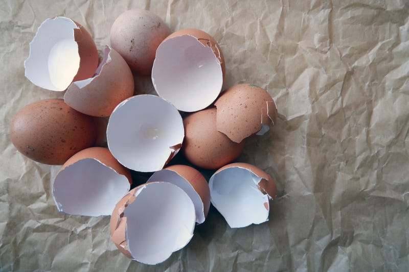 cracked eggshells