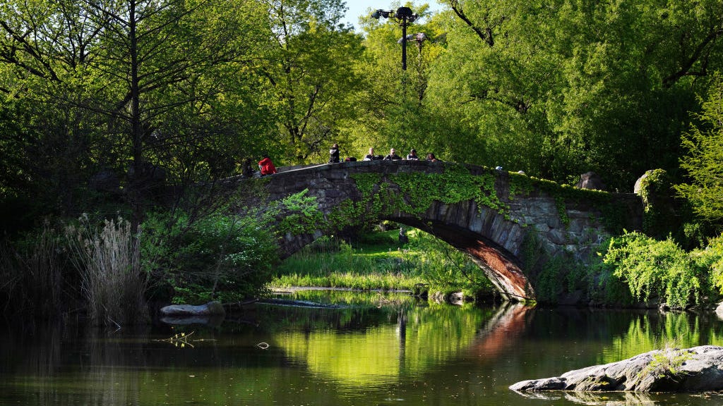 Woman in Viral Central Park Video Fired by Employer: 'We Do Not Tolerate Racism of Any Kind'