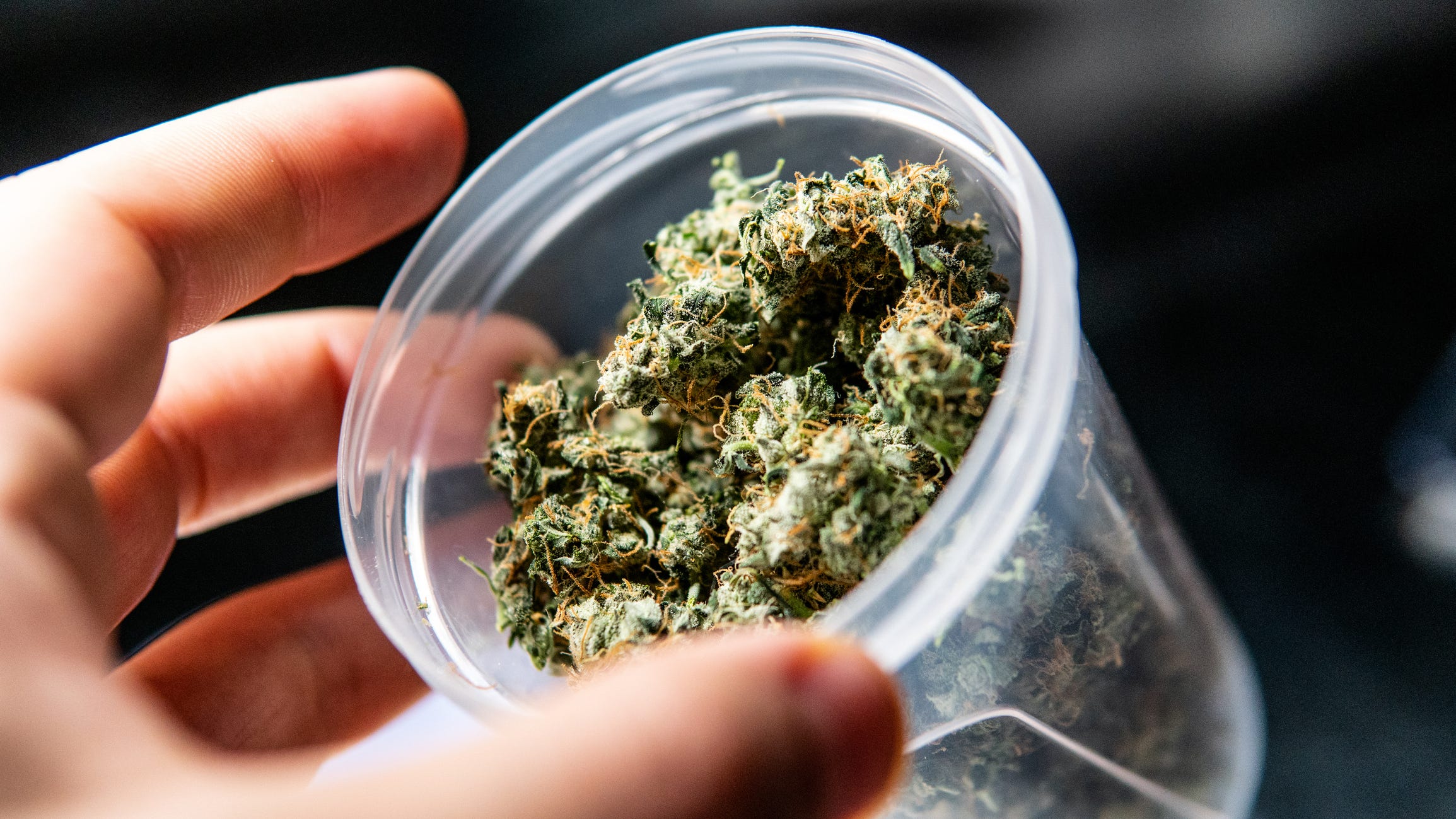 $1B in illegal pot seized in largest Los Angeles County bust