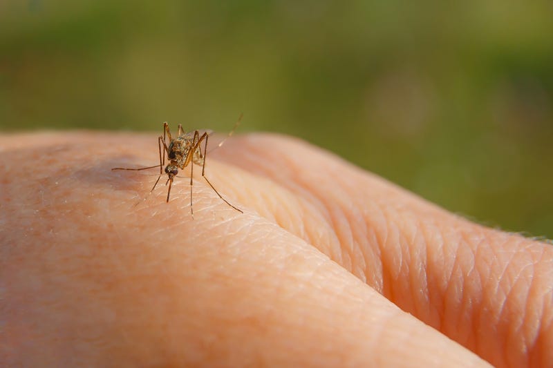 west nile