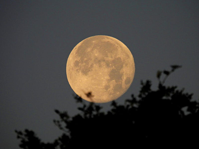 Last Supermoon in 2020