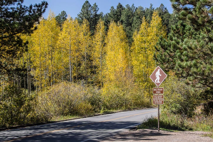 Bigfoot Crossing