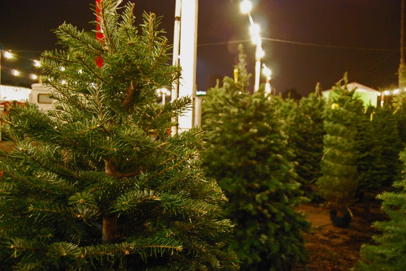 christmas tree