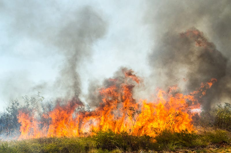 Grass Fire