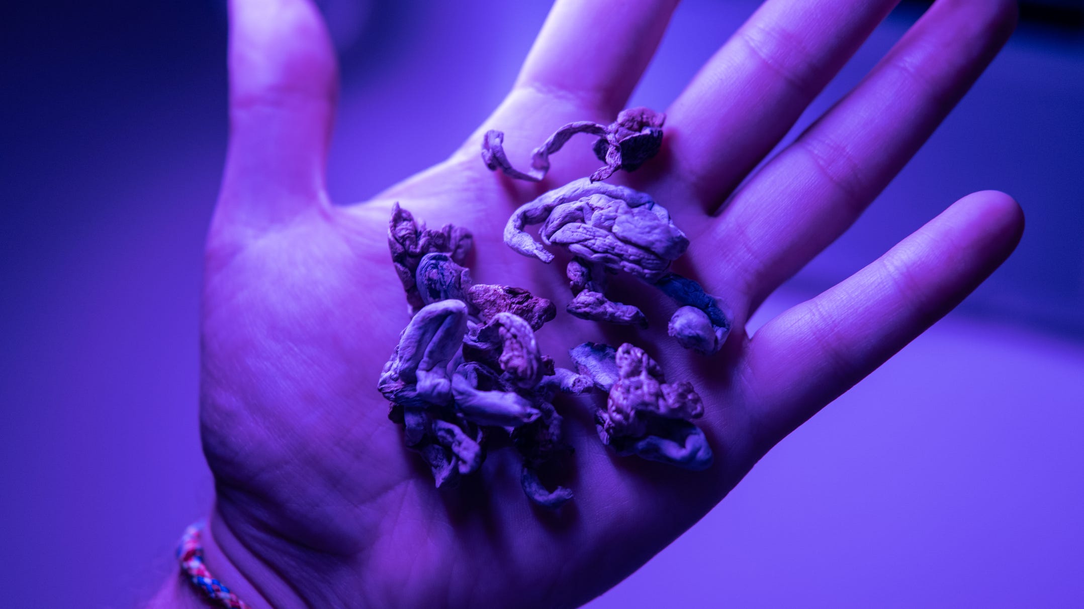 Magic mushrooms, other psychedelic plants now decriminalized in Hazel Park