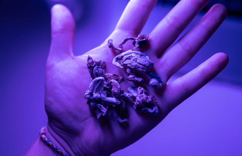 Hand holding magic mushrooms in purple light 