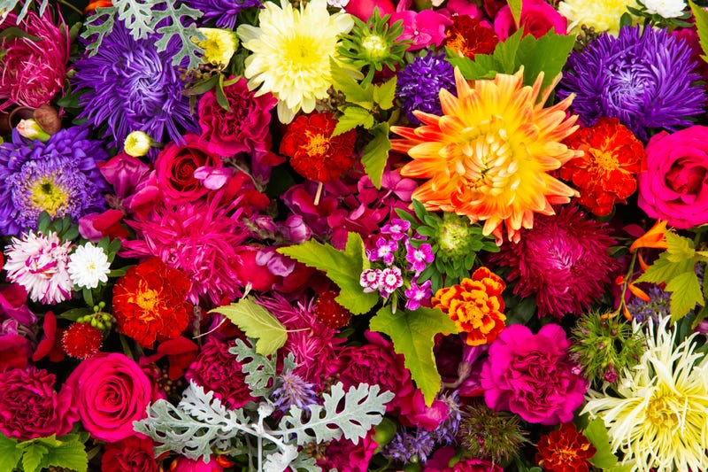 Flowers