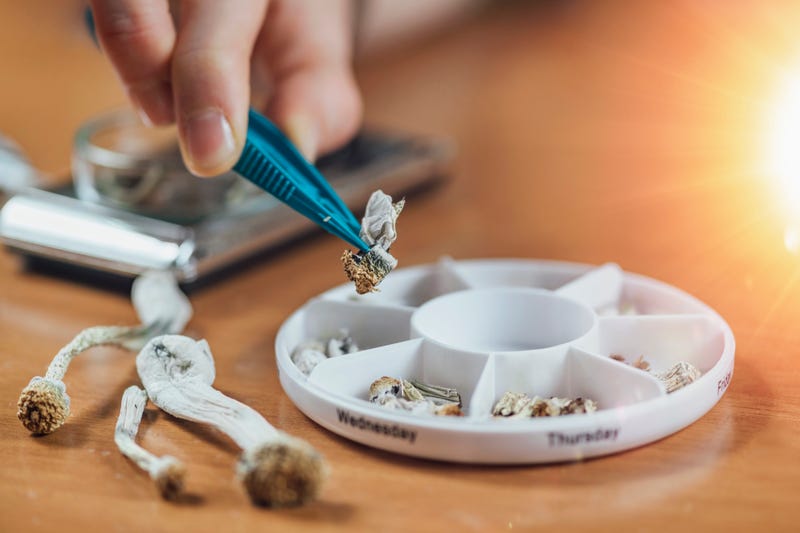 Micro Dosing with Psilocybin Magic Mushrooms. Daily Micro Doses in a Pill Box