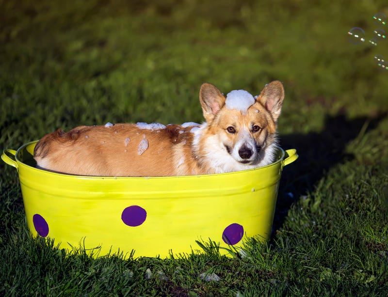 Sweltering Saturday on tap
